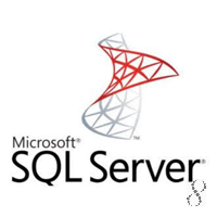 Microsoft SQL Server 10.00.1600.22