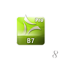 Bryce Pro 7
