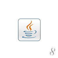 Java Runtime Environment (JRE) 8 Update 221